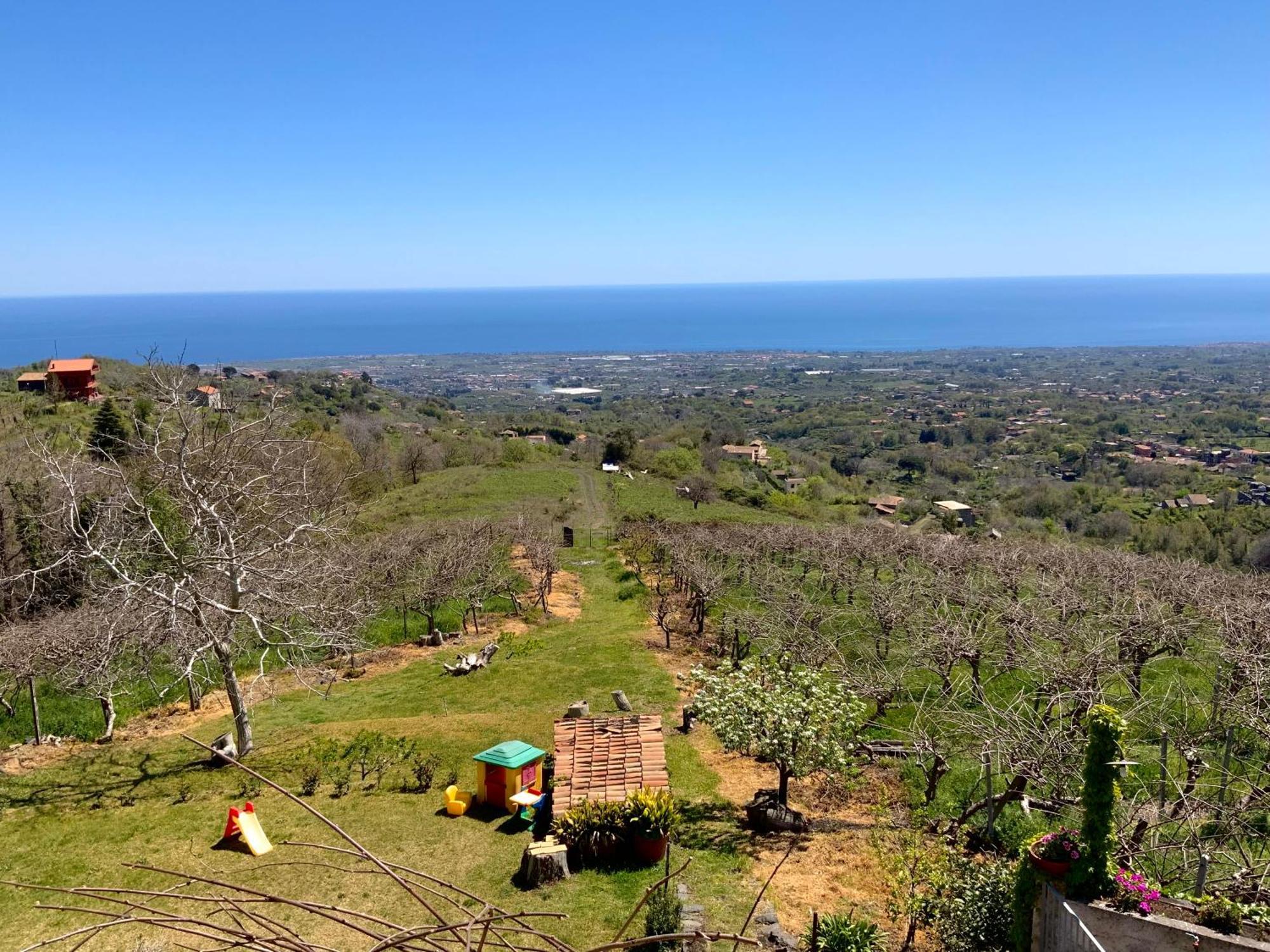 Tenuta Kiwi Dell'Etna Milo Exterior foto