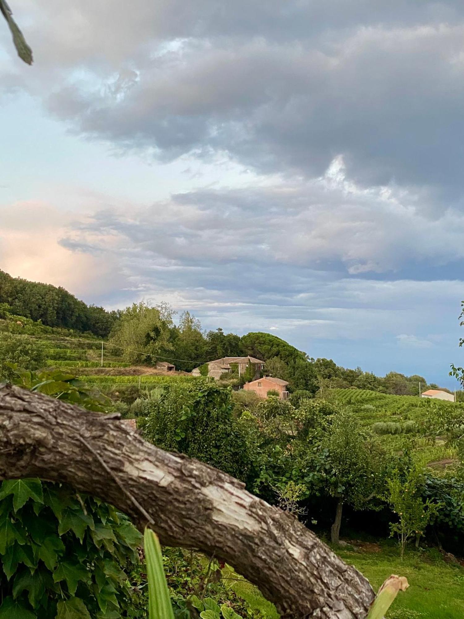Tenuta Kiwi Dell'Etna Milo Exterior foto
